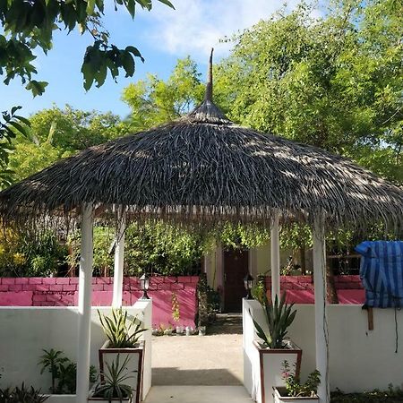 Alkina Lodge Fulidhoo Exteriér fotografie